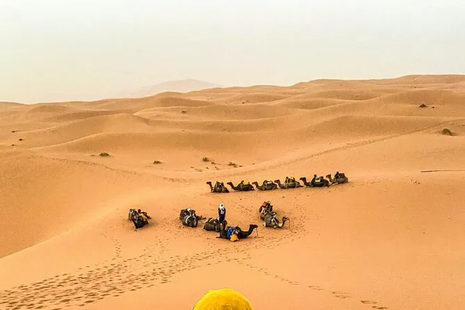 Merzouga Desert