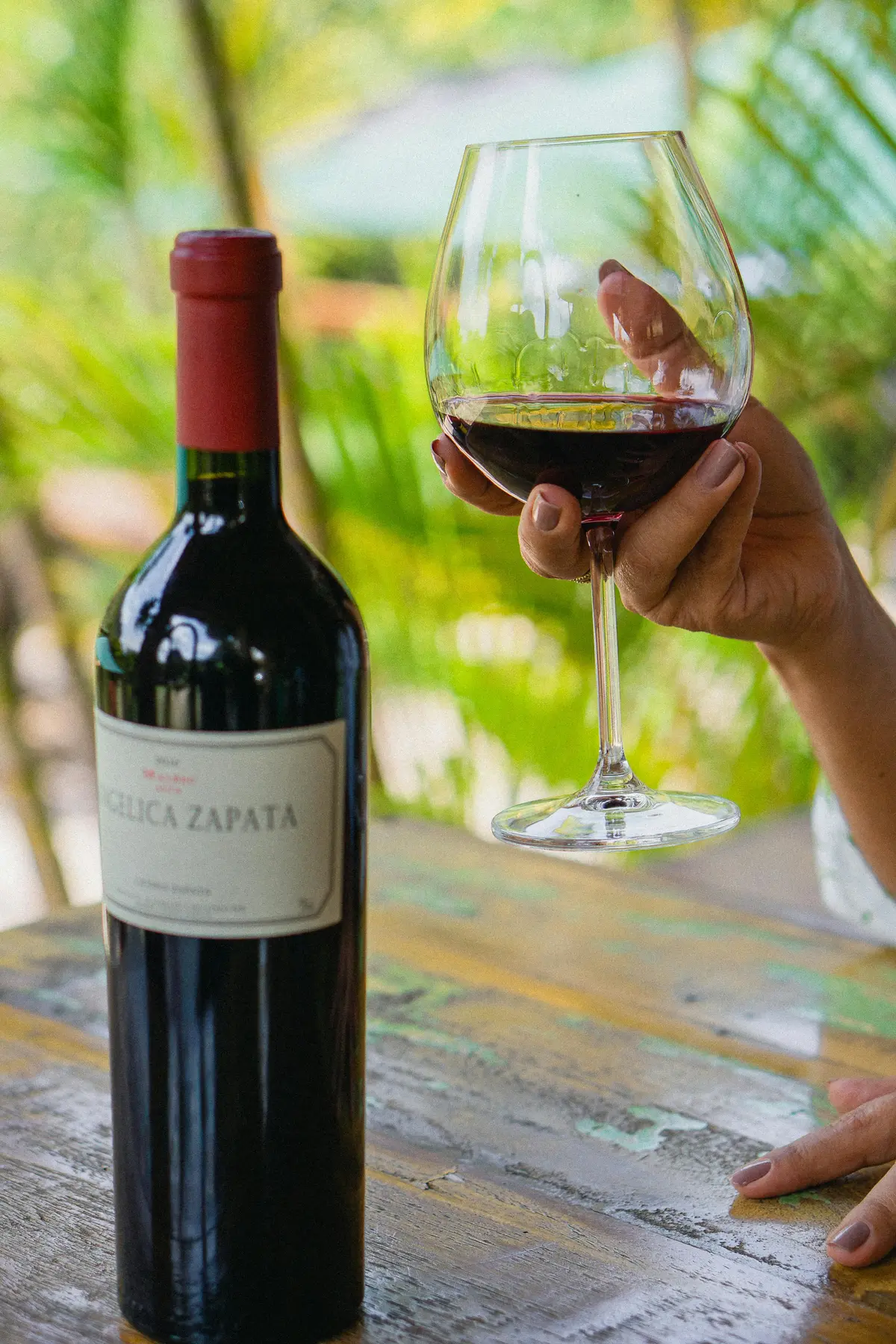 Wine Tasting in Morocco